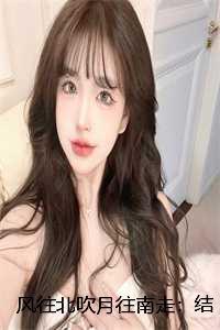 风往北吹下一句的诗词