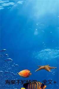 云深不知处海棠书屋