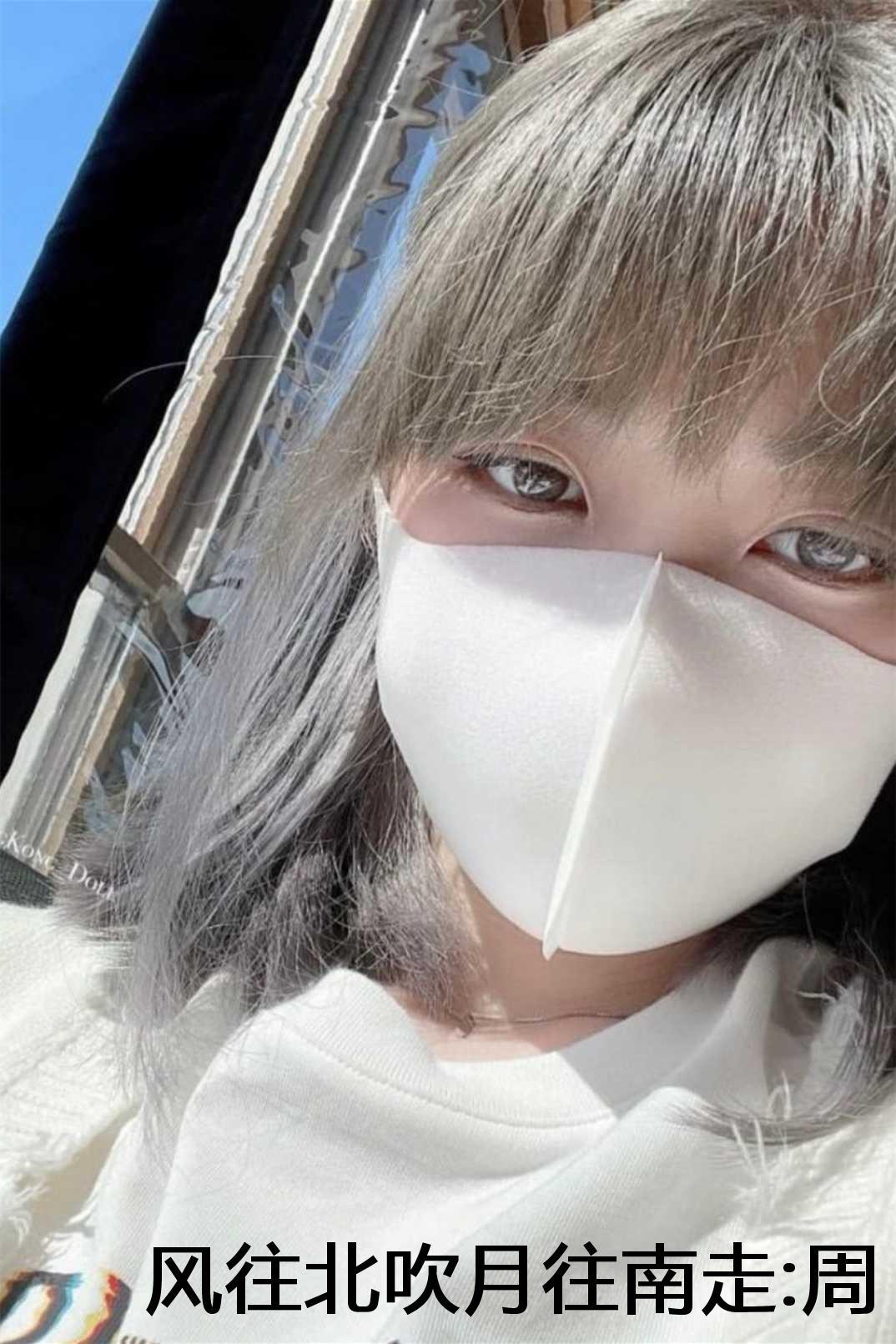 风往北吹你往南追1免费阅读