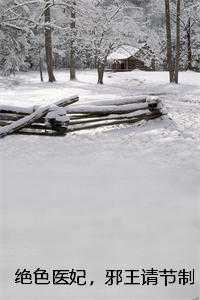 邪王请节制作者夏枝子