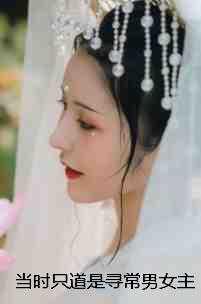 当时只道是寻常几道