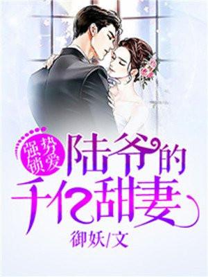 强势锁婚陆先生全书免费