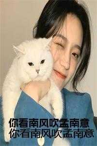 你看南风吹 全文免费阅读