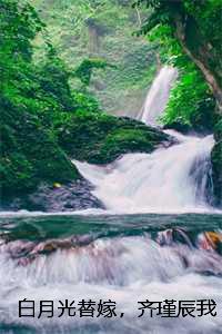 白月光温谨言