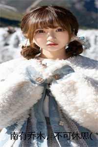 南有乔木不可休思免费阅读