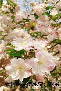 缘到尽头终究散的诗句