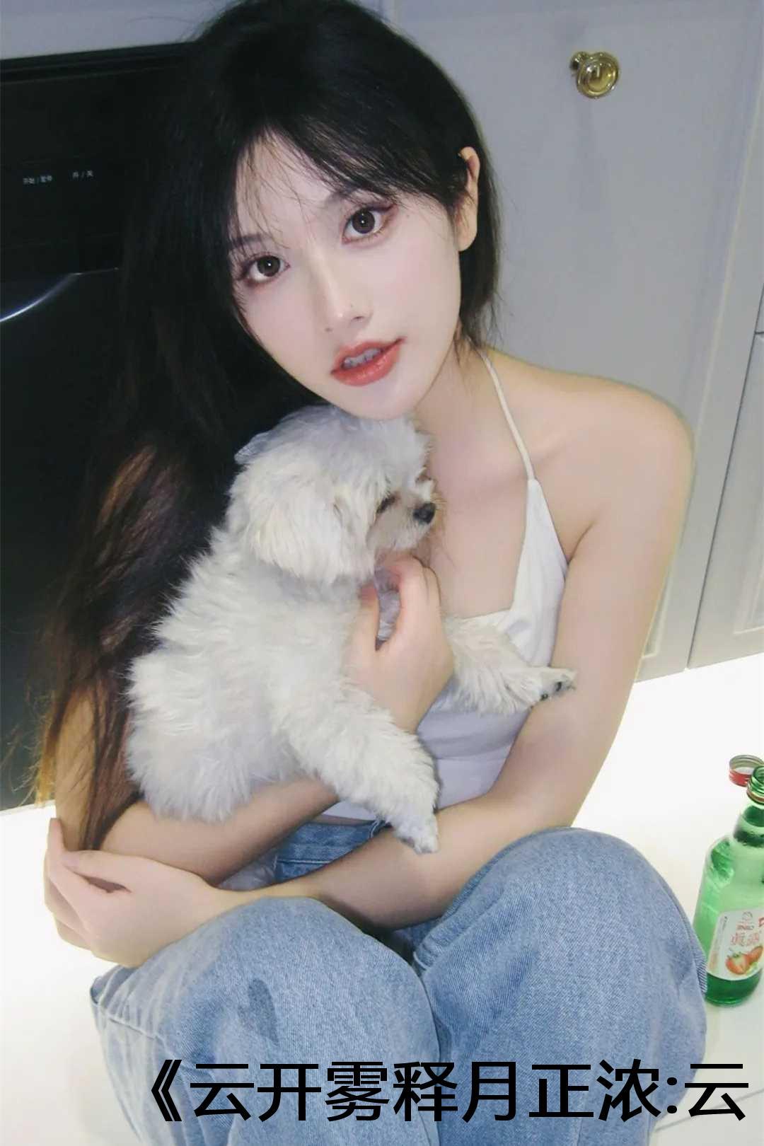 云清月明什么意思