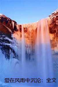 爱在风雨中歌曲