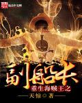 重生海贼王之副船长林天