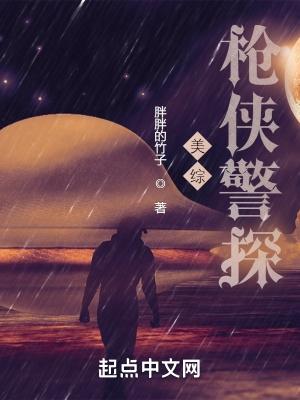 北美枪侠警探TXT全本