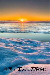 免费阅读叶苒苒萧司琛49文学