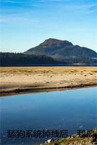 舔狗系统好感度