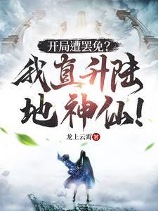 我开局开直升机