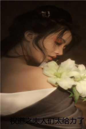 权道之夫人们太给力了免费阅读最新章节