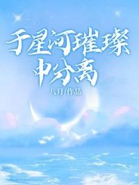 于星河璀璨中分离第26章