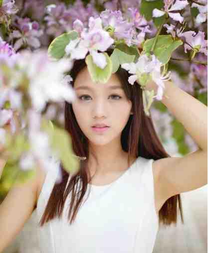 抗战开局一个旅抗战