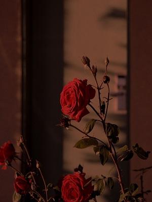 男模背后的故事