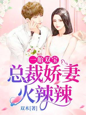 一胎两宝总裁宠妻火辣辣