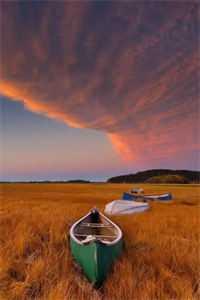 和女主抢男主的男配