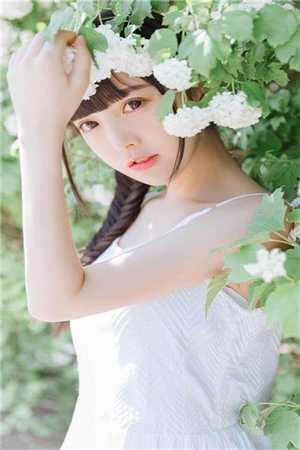 妃常有谋茶茶不觉