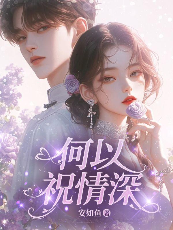 何以情深简介