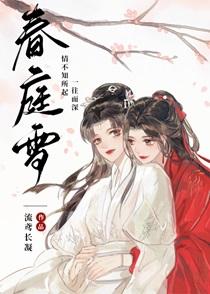 春庭雪歌曲表达什么感情