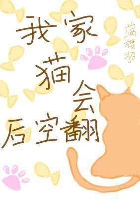 我家猫会后空翻免费阅读