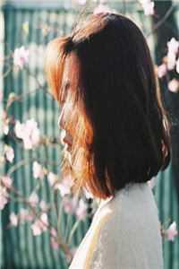 迟来热恋全文免费阅读无弹窗