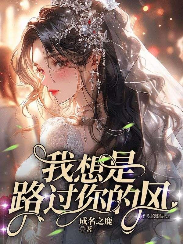 我是你路过的风景免费阅读