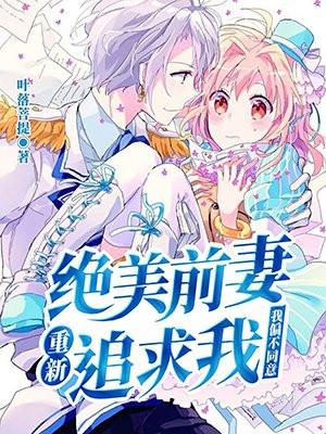 绝美前妻重新追求我我偏不同意txt