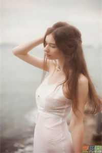 风止意难平[玫瑰