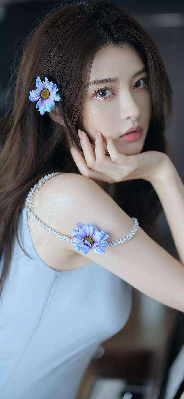 沙漠防护林被砍