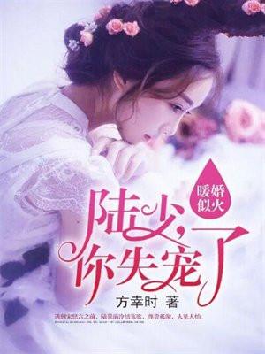 暖婚似火陆少