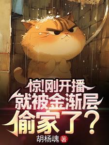 金渐层猫的缺点