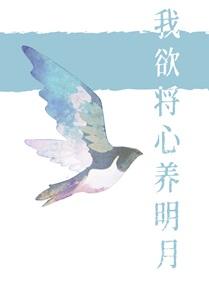 我欲将心养明月 多梨晋江