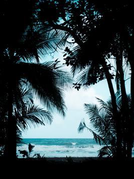 人面羊身是什么神兽