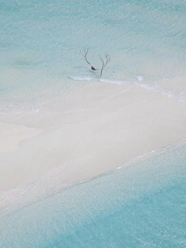 阿姊嫁给了我的心上人的说说