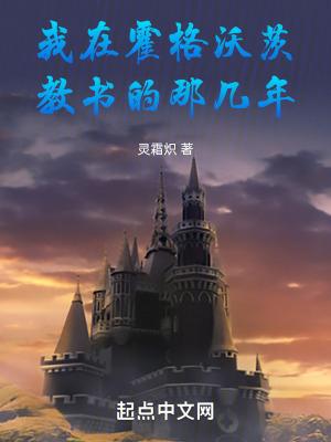 我在霍格沃茨读书那些年