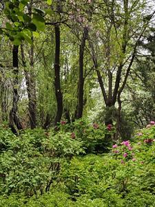 闲居偶得诗句大全