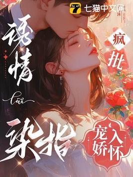 疯批宠娇入怀txt百度