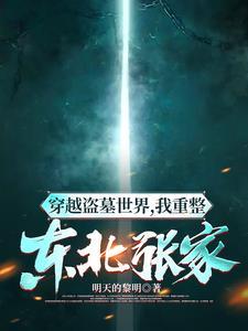 关于主角穿越成张家人