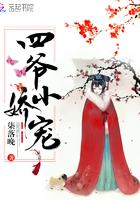 四爷小娇宠 侧福晋 舒舒觉罗沐婉免费阅读