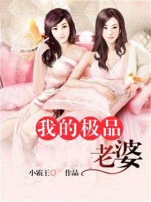 我的极品老婆电视剧第一季免费观看