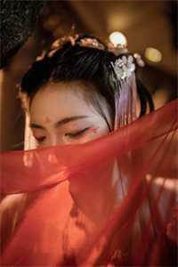 掌珠全文免费阅读无弹窗顶点