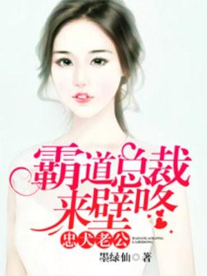 忠犬老公霸道总裁来壁咚 有没有第二册