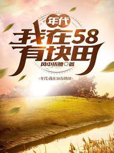年代我在58有块田免费观看
