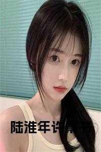 陆淮年许景书沈乔一大结局