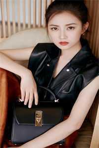 指挥官全文阅读