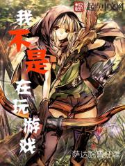 我不是在玩游戏英语