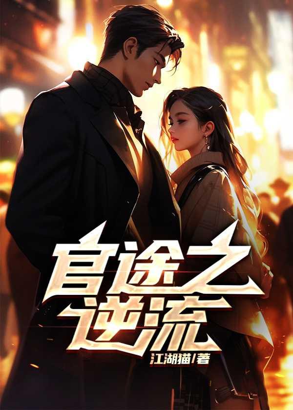 官途之逆流 第17章